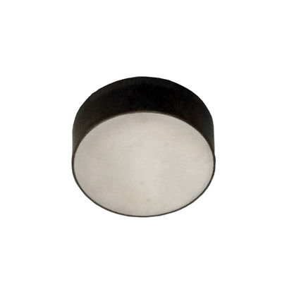 27.4mm x 10.2mm Piezoelectric Disc , Piezo Ceramic Plate For Fishing Finder
