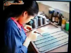 مقدمة المصنع